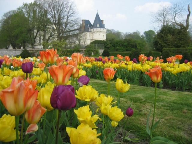 Le Refuge De Normandie Avec Spa Et Cheminee Mesnieres-en-Bray Kültér fotó